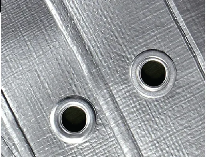 טבעות לשמשוניות