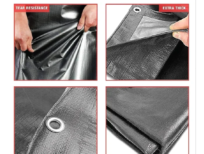 טבעות לשמשוניות