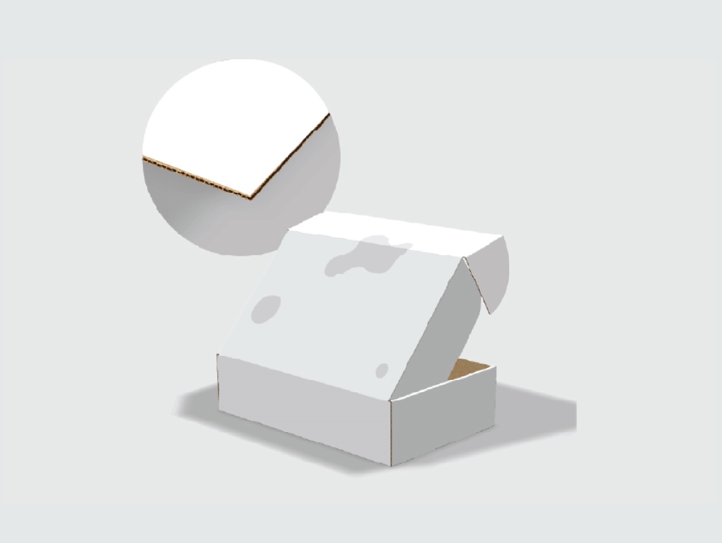 קרטון איפלוט ציפוי לבן