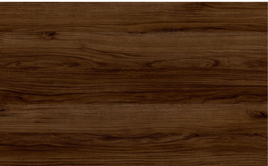 גליל טפט אלון קטניה